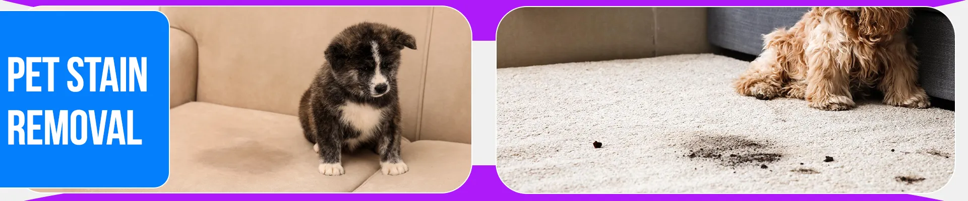 carpet cleaning in brooklyn, carpet cleaning in brooklyn, carpet cleaning brooklyn, carpet cleaners in brooklyn, carpet cleaners in brooklyn, commercial carpet cleaning, commercial carpet cleaning in brooklyn, brooklyn rug cleaners, rug cleaning services in brooklyn, same day carpet cleaning, same day rug cleaning