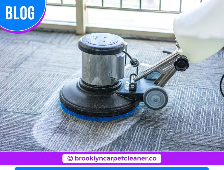 carpet cleaning in brooklyn, carpet cleaning in Brooklyn, carpet cleaning brooklyn, carpet cleaners in brooklyn, carpet cleaners in Brooklyn, commercial carpet cleaning, commercial carpet cleaning in brooklyn, brooklyn rug cleaners, rug cleaning services in brooklyn, same day carpet cleaning, same day rug cleaning