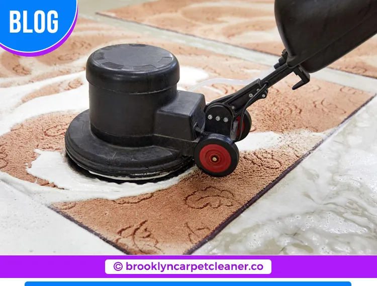 carpet cleaning in brooklyn, carpet cleaning in Brooklyn, carpet cleaning brooklyn, carpet cleaners in brooklyn, carpet cleaners in Brooklyn, commercial carpet cleaning, commercial carpet cleaning in brooklyn, brooklyn rug cleaners, rug cleaning services in brooklyn, same day carpet cleaning, same day rug cleaning