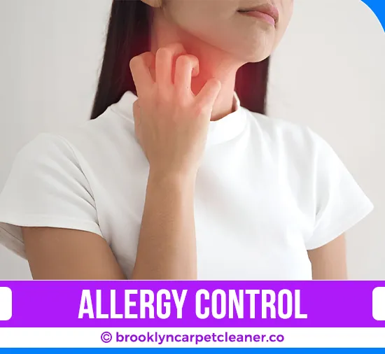 carpet cleaning in brooklyn, carpet cleaning in Brooklyn, carpet cleaning brooklyn, carpet cleaners in brooklyn, carpet cleaners in Brooklyn, commercial carpet cleaning, commercial carpet cleaning in brooklyn, brooklyn rug cleaners, rug cleaning services in brooklyn, same day carpet cleaning, same day rug cleaning