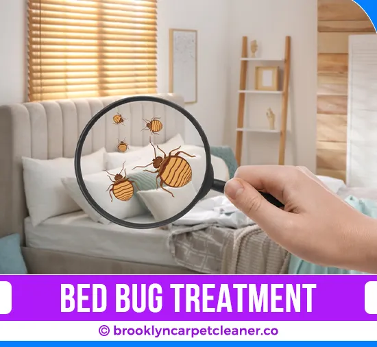 carpet cleaning in brooklyn, carpet cleaning in Brooklyn, carpet cleaning brooklyn, carpet cleaners in brooklyn, carpet cleaners in Brooklyn, commercial carpet cleaning, commercial carpet cleaning in brooklyn, brooklyn rug cleaners, rug cleaning services in brooklyn, same day carpet cleaning, same day rug cleaning