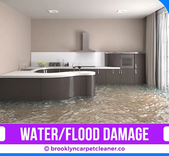 carpet cleaning in brooklyn, carpet cleaning in Brooklyn, carpet cleaning brooklyn, carpet cleaners in brooklyn, carpet cleaners in Brooklyn, commercial carpet cleaning, commercial carpet cleaning in brooklyn, brooklyn rug cleaners, rug cleaning services in brooklyn, same day carpet cleaning, same day rug cleaning